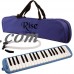 Rise by Sawtooth Piano Style Melodica   556258872